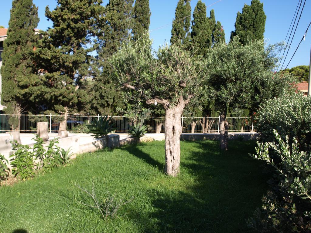 Guesthouse Anchise 38 Пицолунго Екстериор снимка